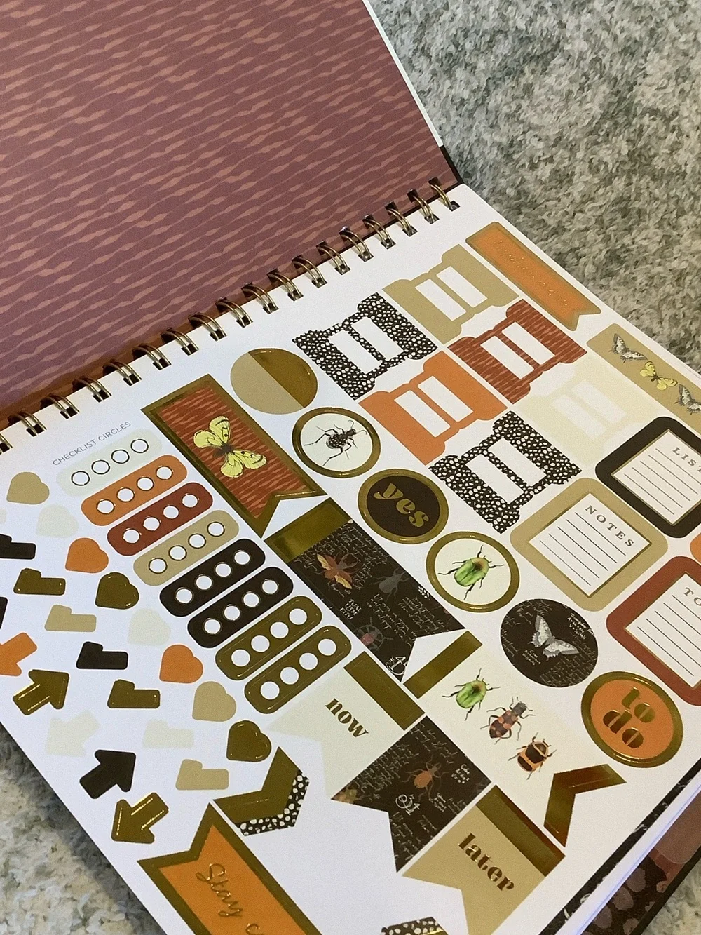 James Burke Collection Colorful Bugs Five Subject Notebook NWT 9.25x11” 120 page